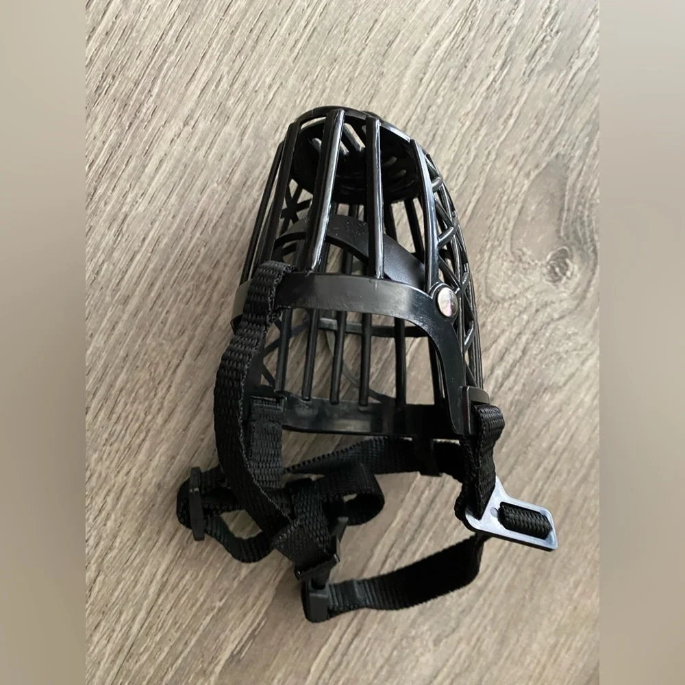 Small Dog Black Muzzle